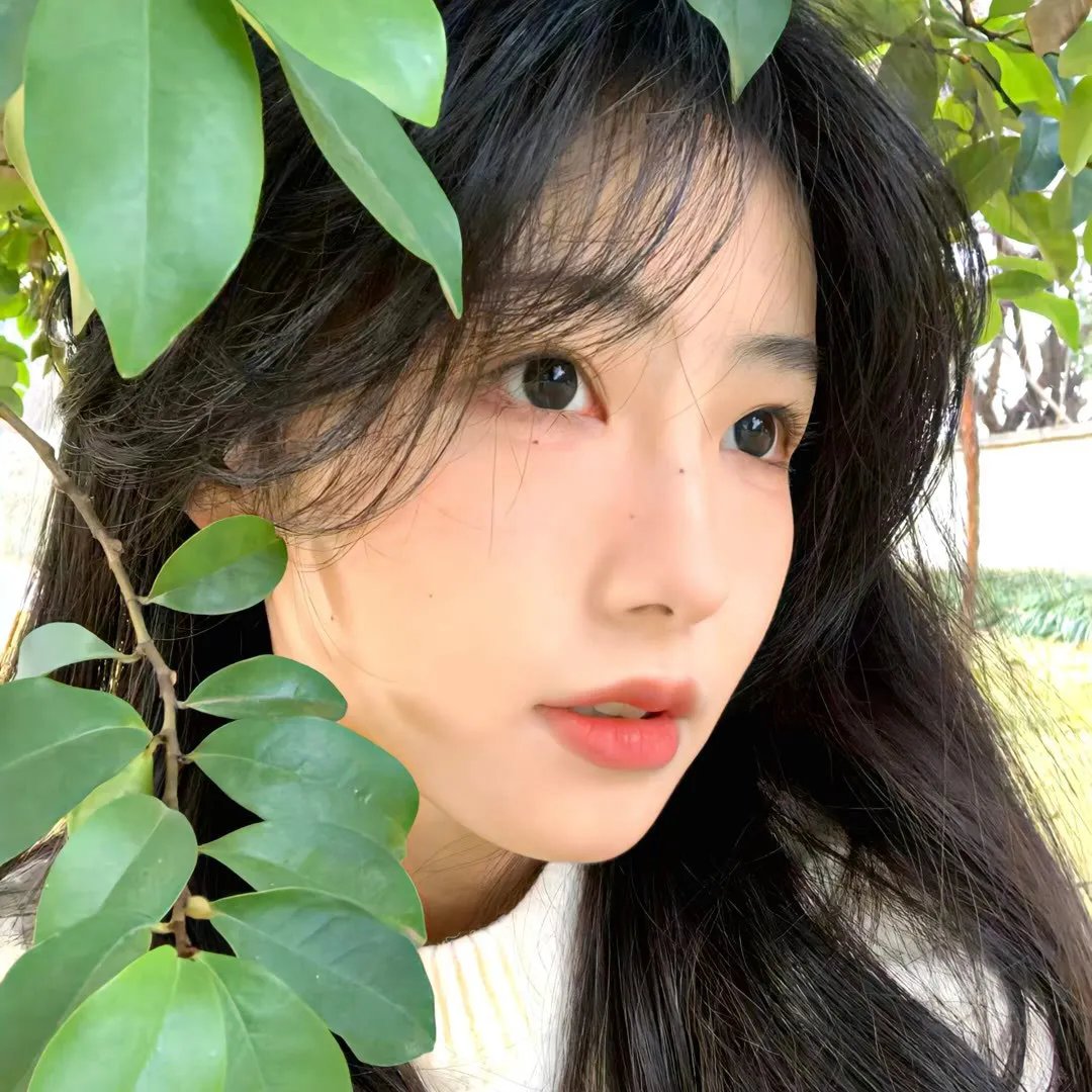 柏拉图恋爱